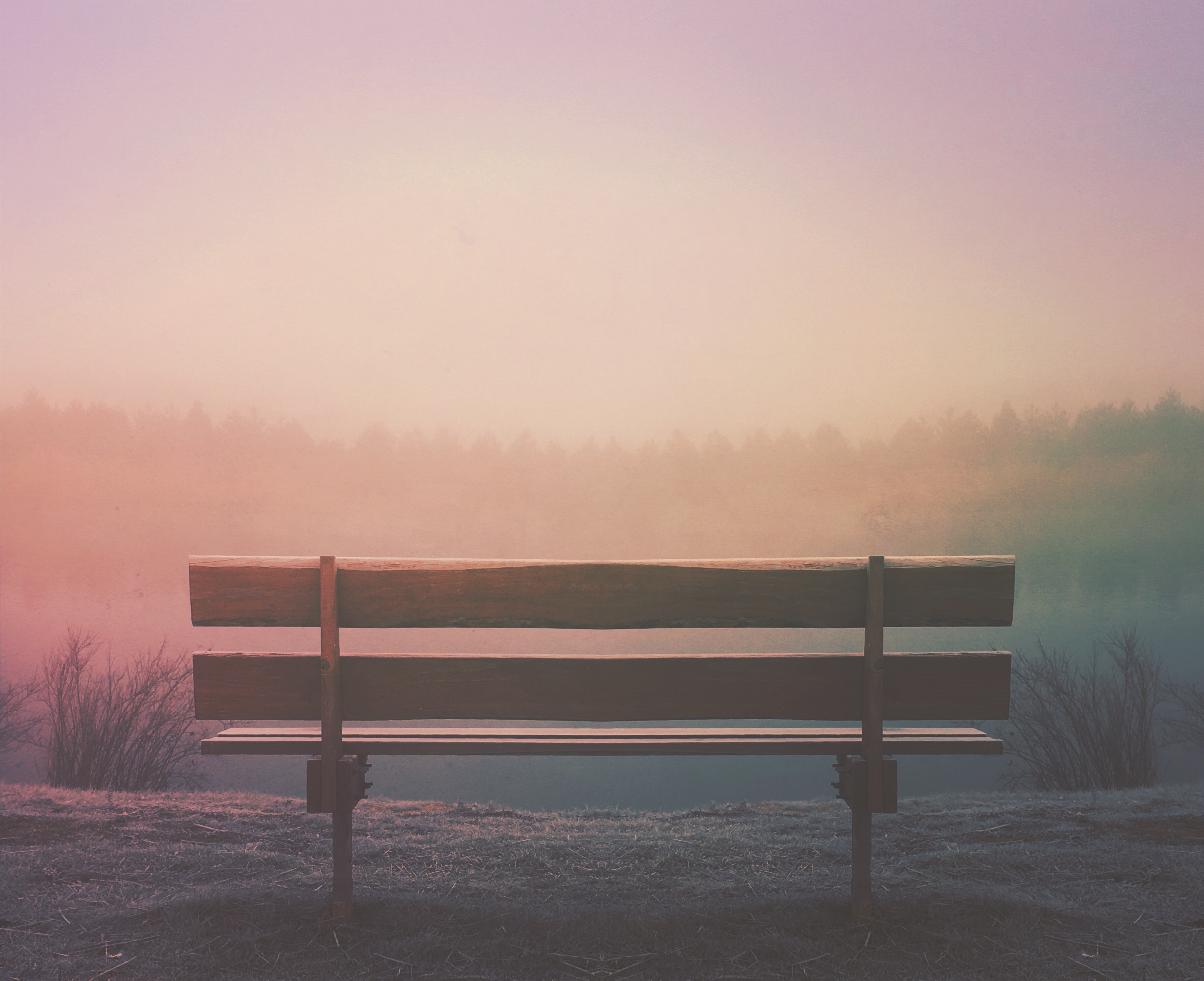 aaron-burden-2bg1jPty490-unsplash