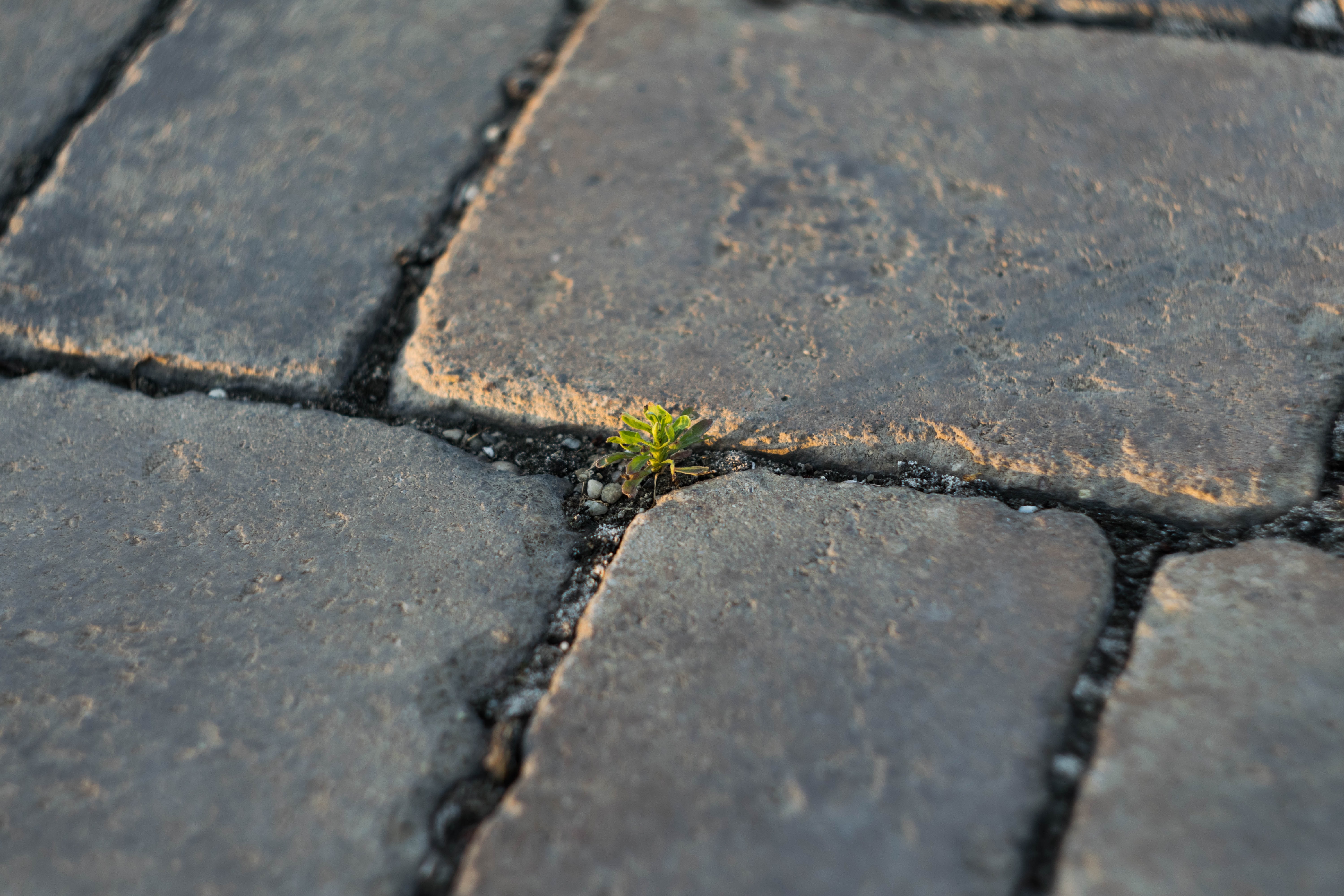 imre-tomosvari-LdpNxPUoR-0-unsplash